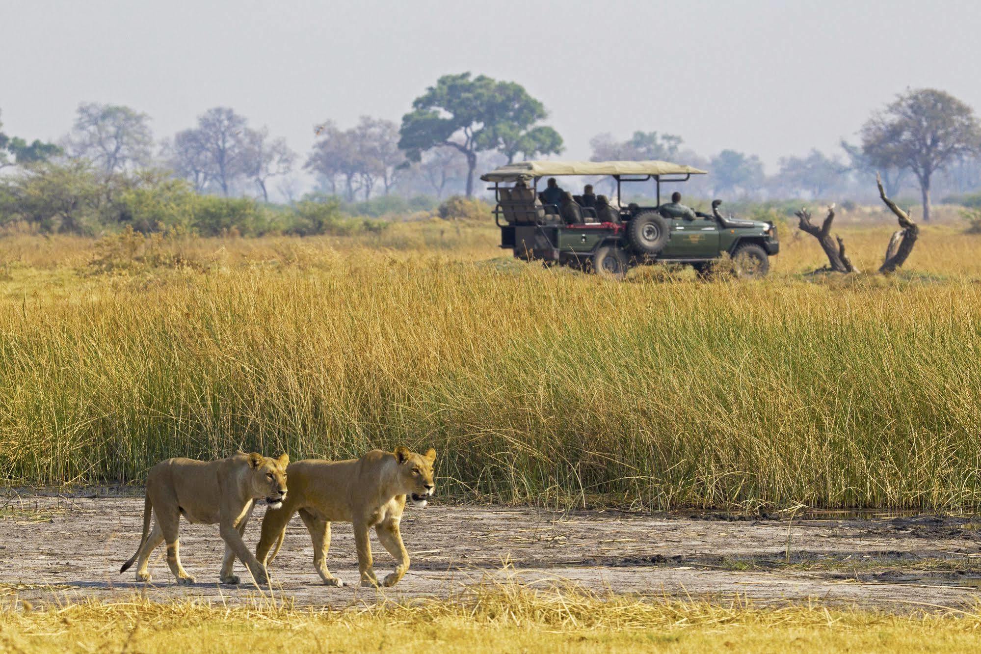 Готель Selinda Camp Selinda Reserve Екстер'єр фото