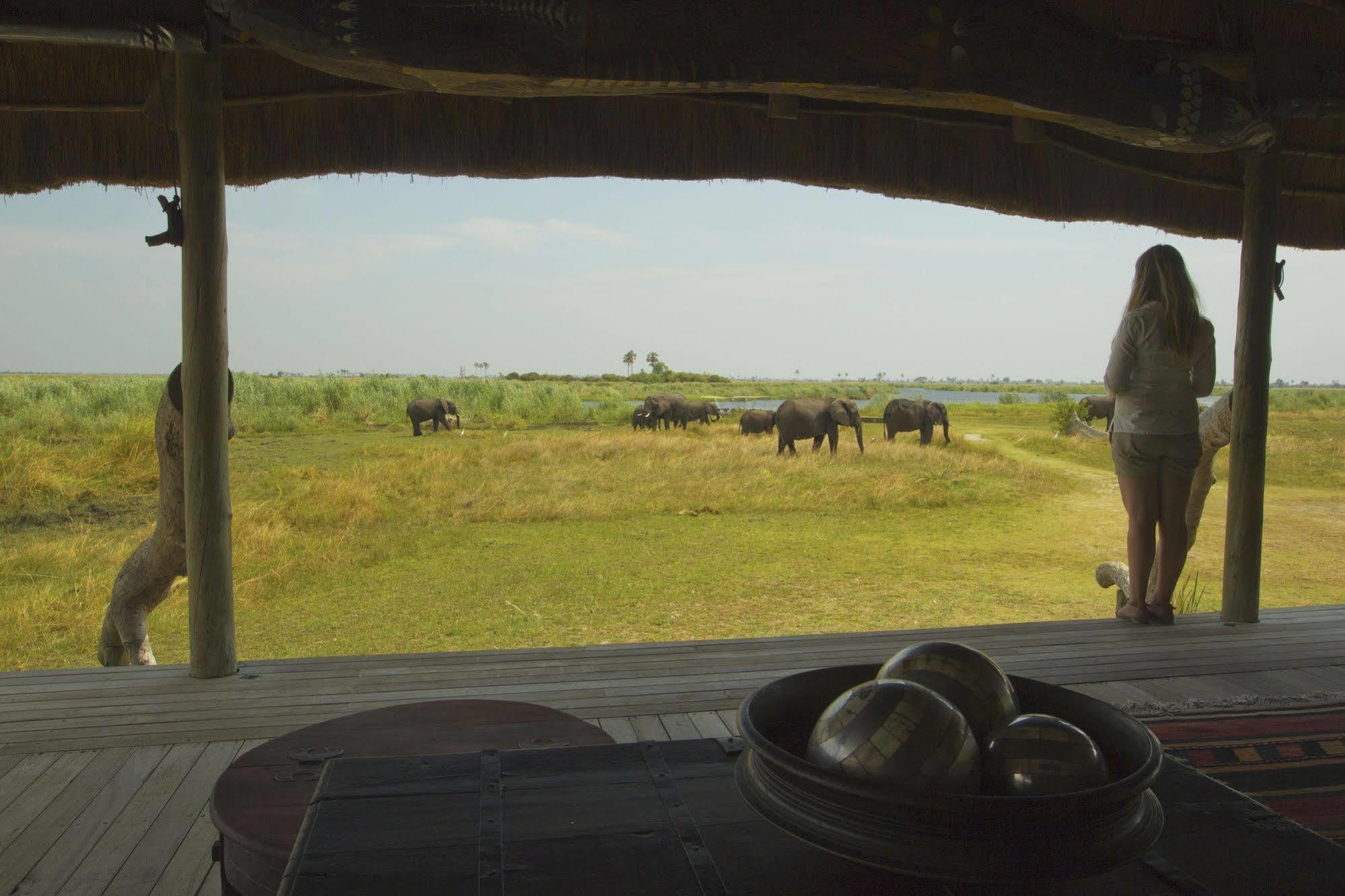 Готель Selinda Camp Selinda Reserve Екстер'єр фото