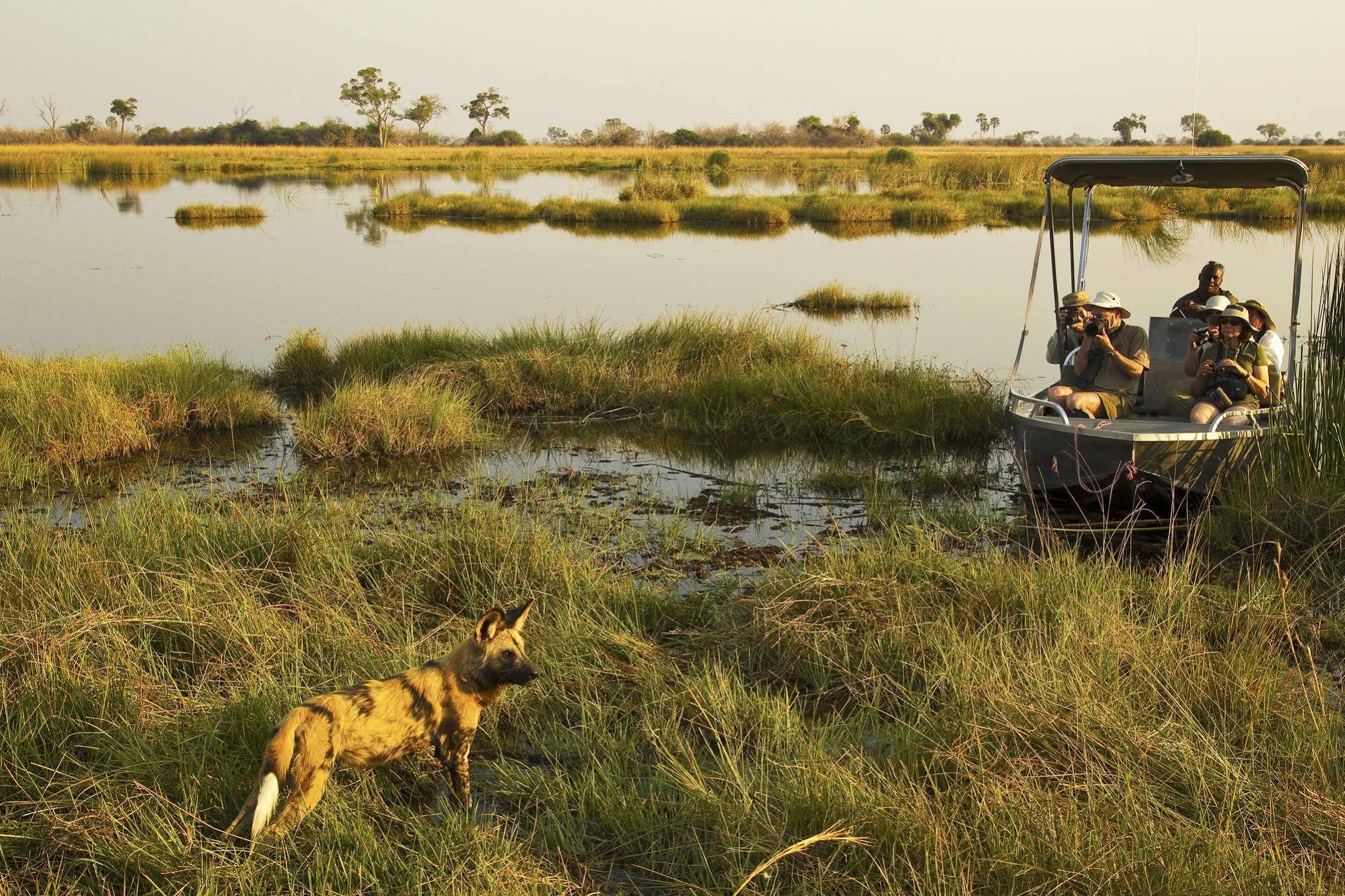 Готель Selinda Camp Selinda Reserve Екстер'єр фото