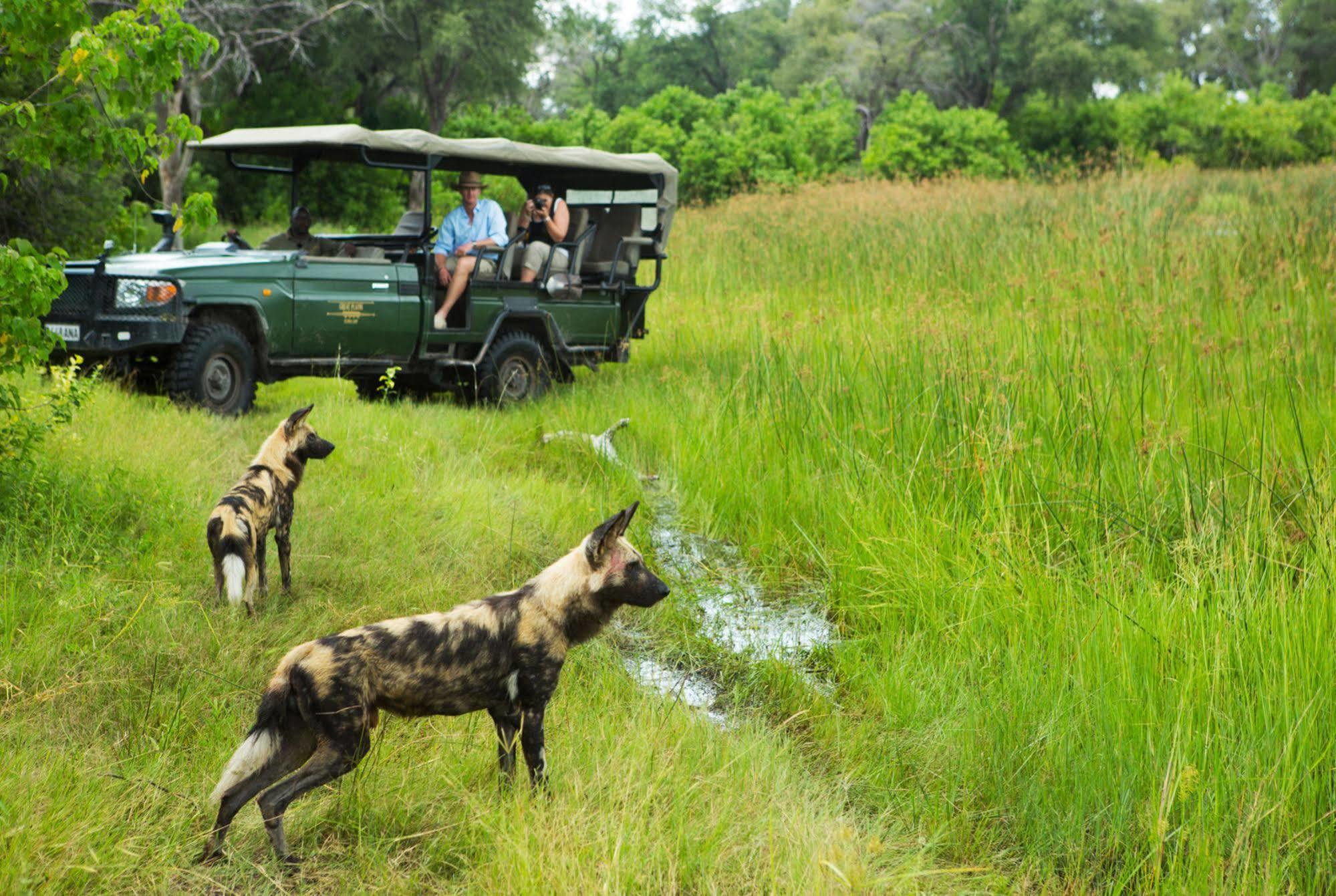 Готель Selinda Camp Selinda Reserve Екстер'єр фото
