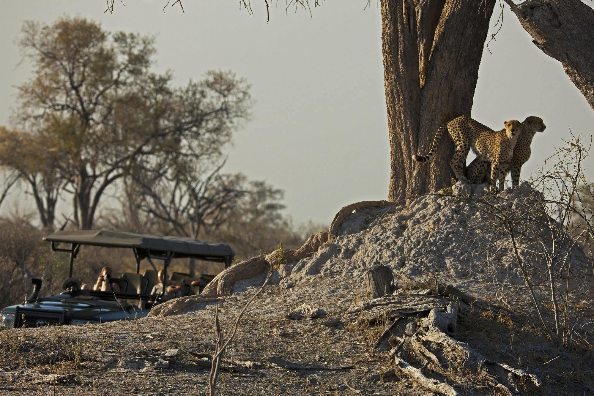 Готель Selinda Camp Selinda Reserve Екстер'єр фото